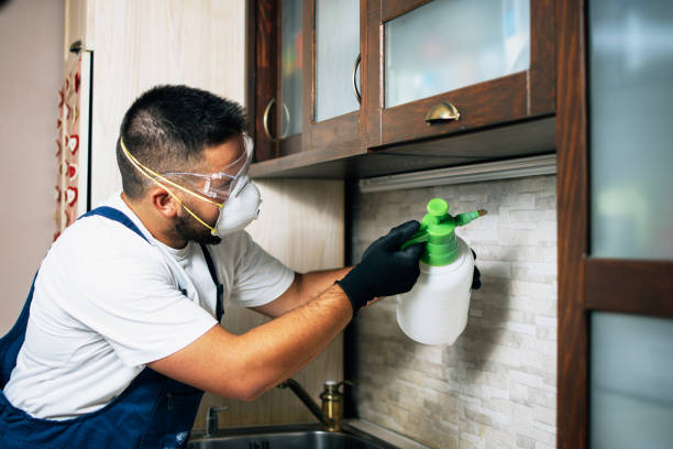 Best Best Pest Control Companies  in Riverdale Park, MD