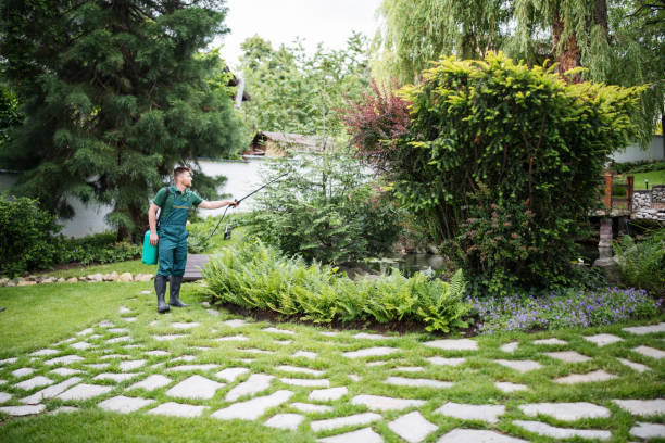 Best Ant Control Services  in Riverdale Park, MD