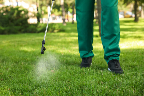 Best Rat Extermination Near Me  in Riverdale Park, MD