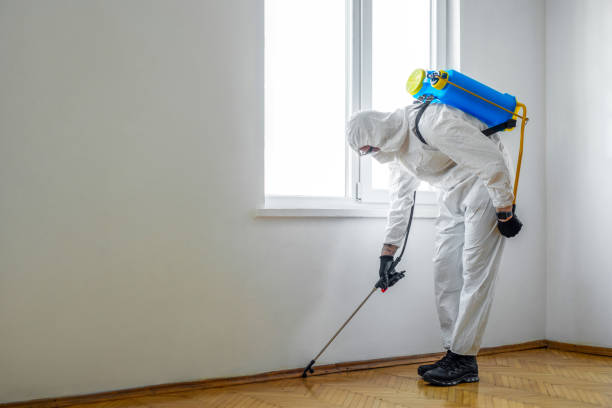 Best Flea Control Services  in Riverdale Park, MD