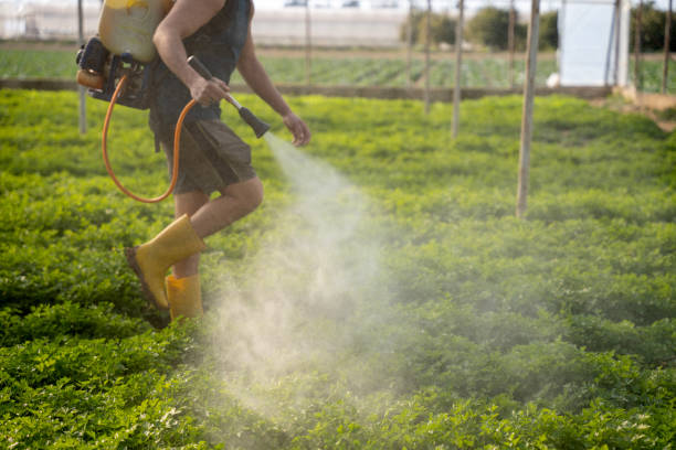Best Mosquito Control Services  in Riverdale Park, MD