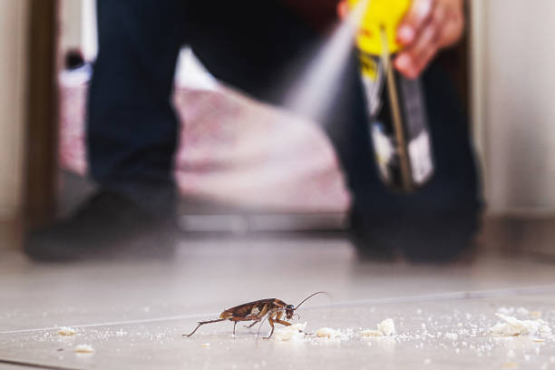 Best Insect Control  in Riverdale Park, MD